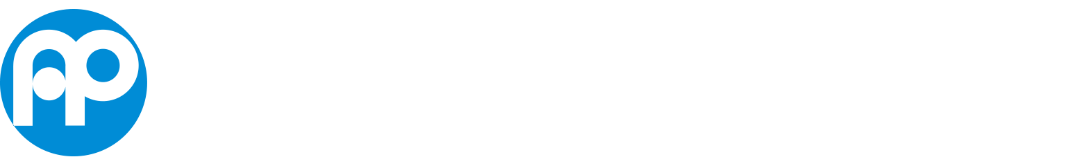 高度外国人材採用コンサルティング